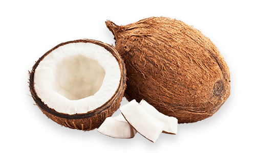 Coconut