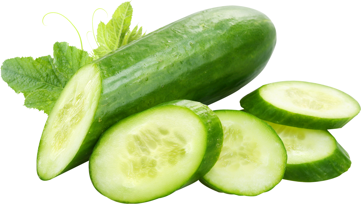 Cucumber