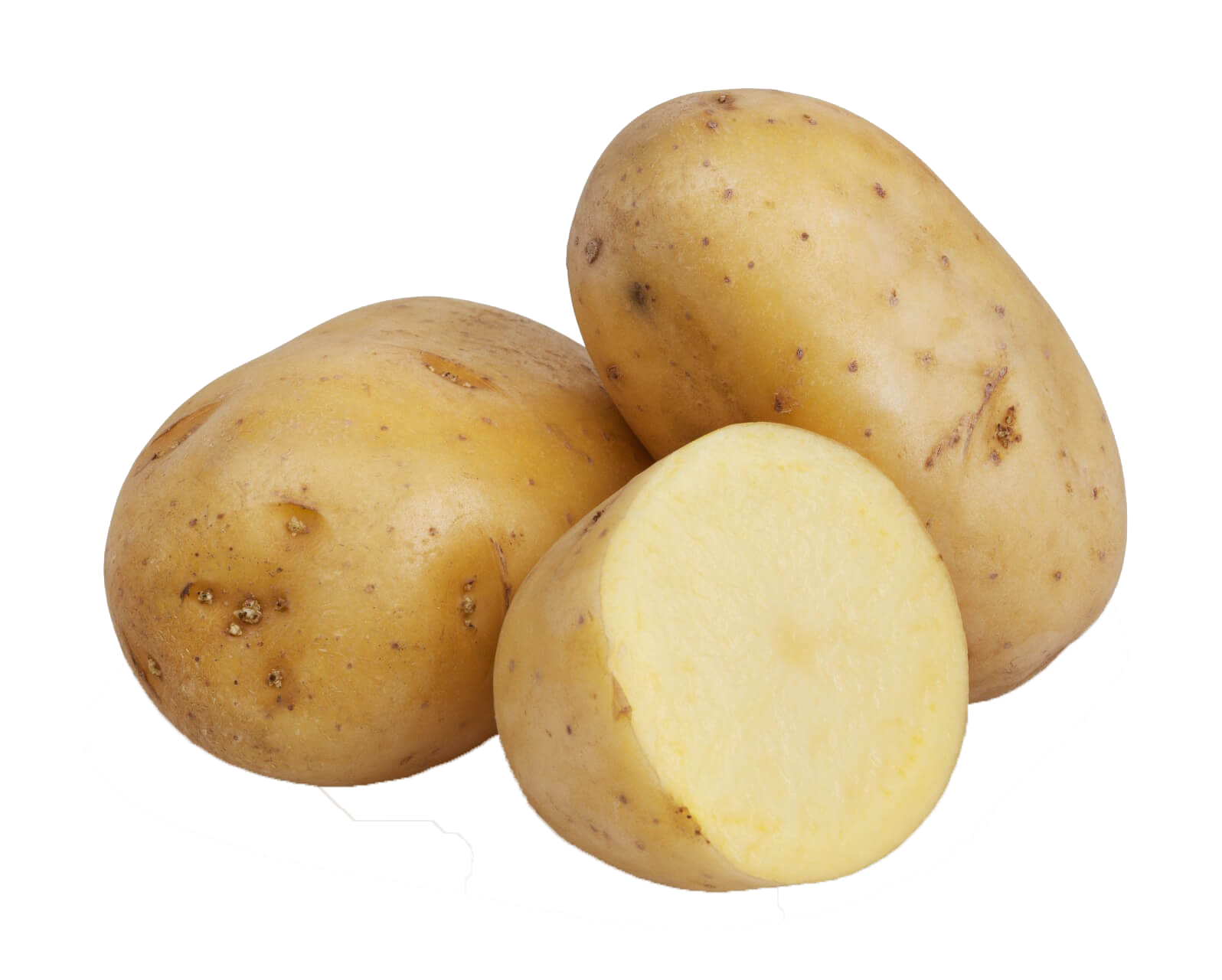 Potato