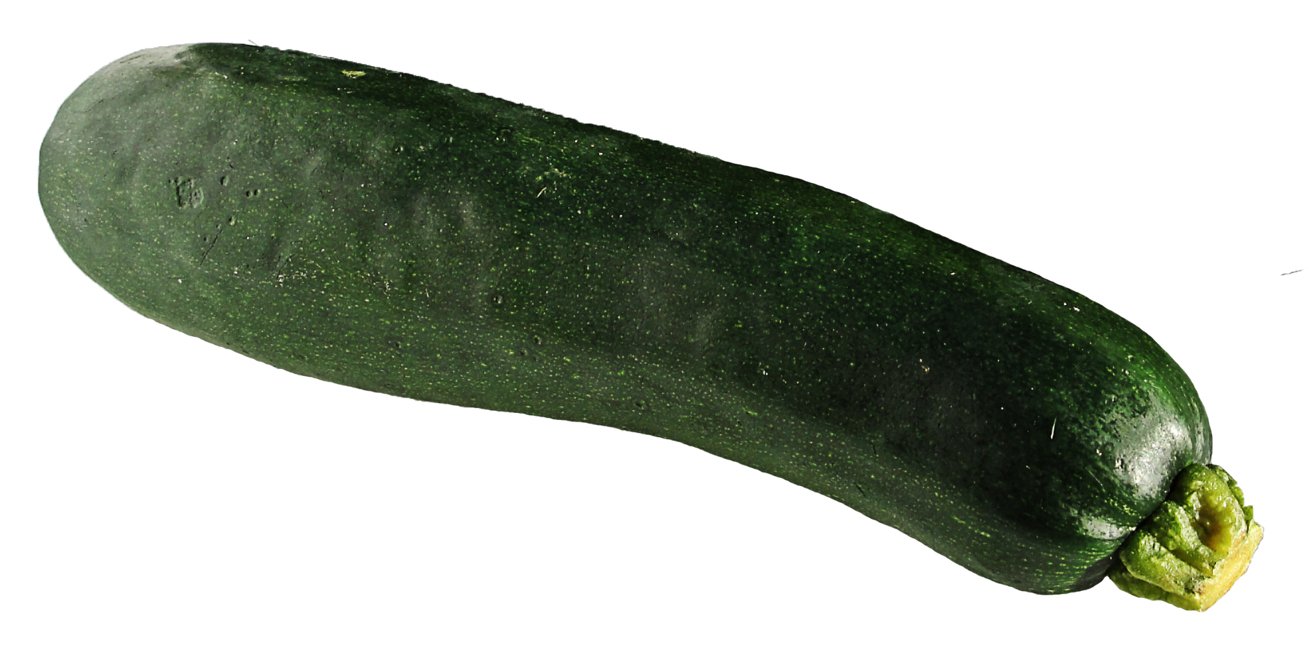 Zucchini